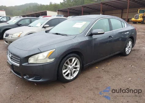 2010 Nissan Maxima S z USA, uszkodzony, nr VIN 1N4AA5AP1AC833547